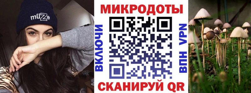 Галлюциногенные грибы Psilocybe  купить  цена  мега   Миньяр 
