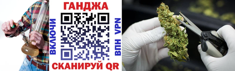 Конопля гибрид  Миньяр 